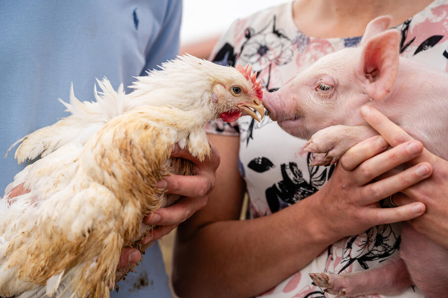 ILWG Bert Vandenabeele 2023 10 13 00015