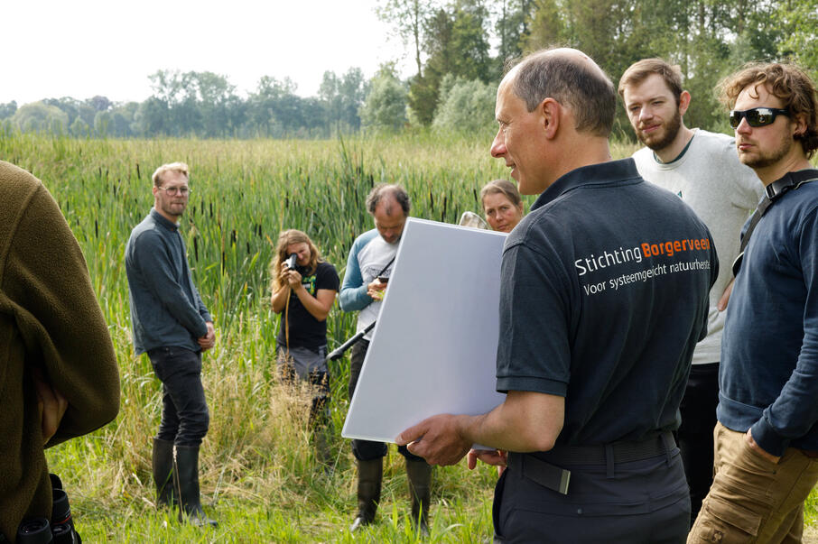 Lisdoddeteelt Stichting Bargerveen - Helmond