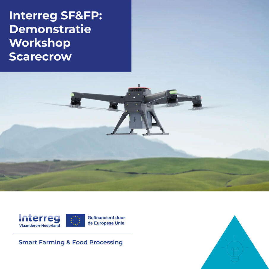 Demo Workshop Scarecrow Mailing